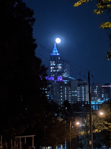 PXL_20201102_000108964.NIGHT