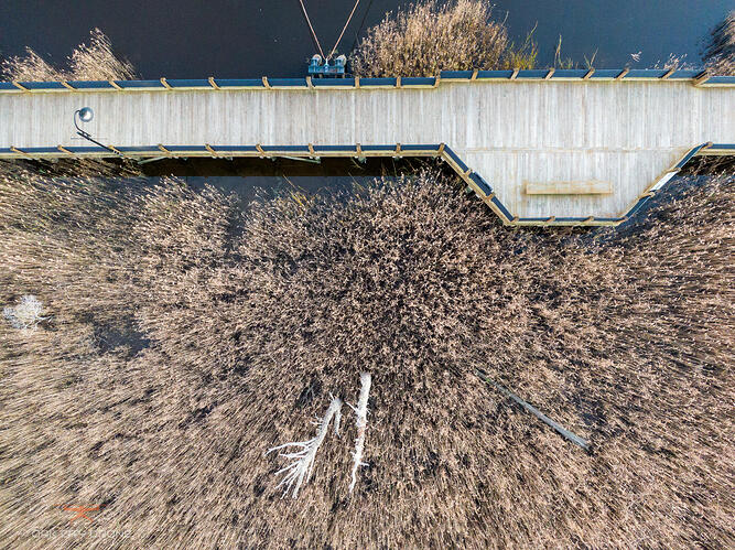 DJI_0730
