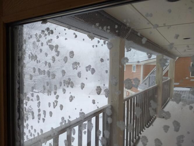 IMG_20220117_095154584