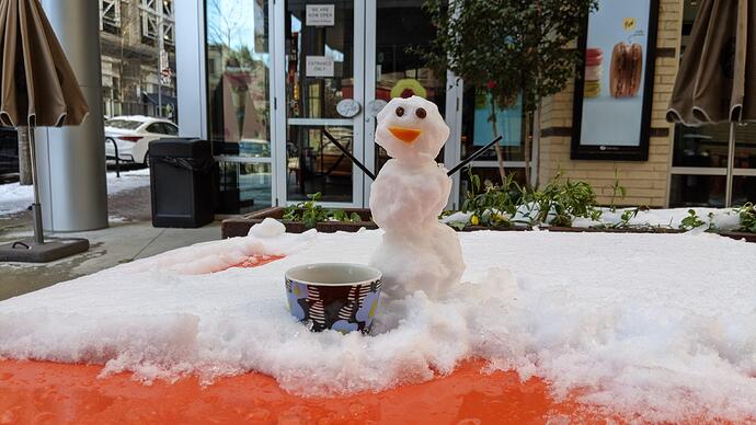 PXL_20220123_161739616.MP