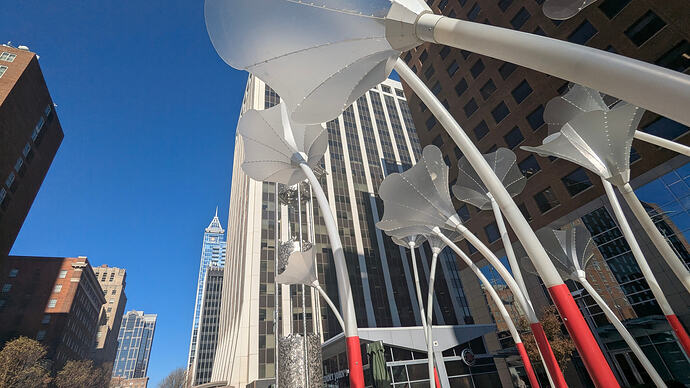 PXL_20251203_174715004.MP