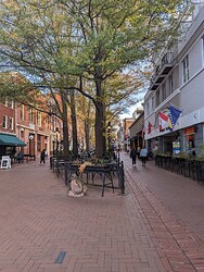 PXL_20231114_211129698