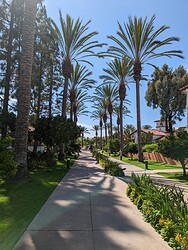 PXL_20220816_222021597