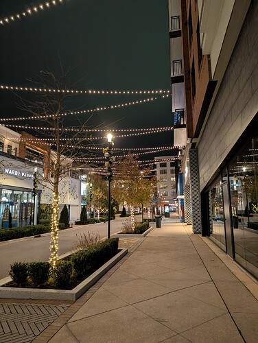 Fenton_PXL_20241210_012937415