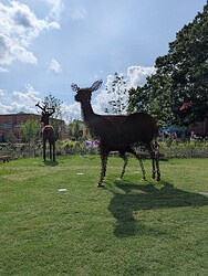 PXL_20250607_203241714