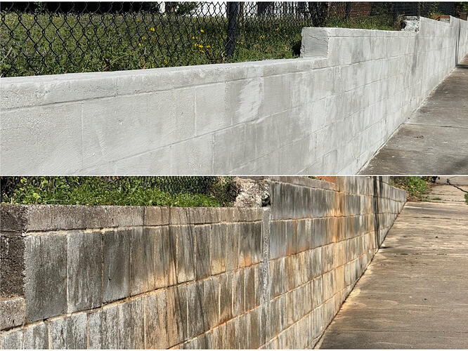 WhatsApp Image 2026-03-14 at 11.12.05