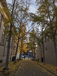 PXL_20231114_211659188