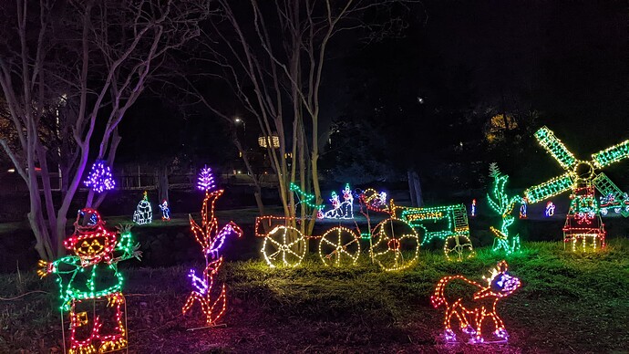 PXL_20241217_022501640