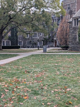 PXL_20251111_193604182