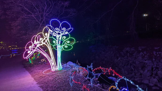 PXL_20241217_022629996