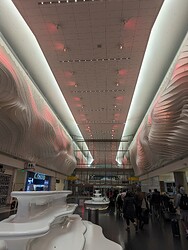 PXL_20231127_064340576