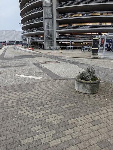 PXL_20240312_155621843