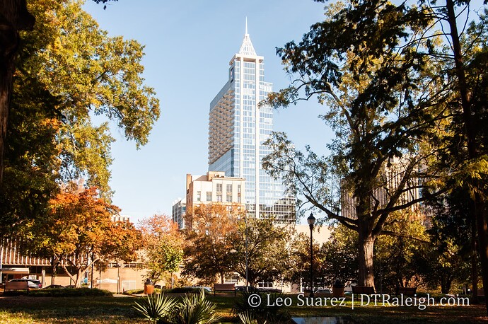 walk_nov24-4