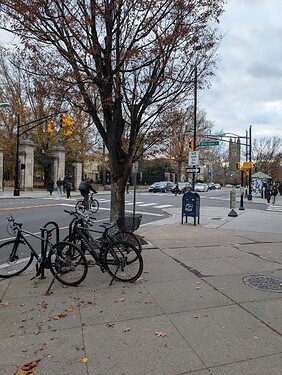 PXL_20251111_210650807.MP