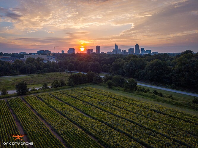 DJI_0215