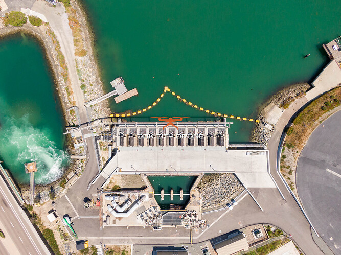 DJI_0554
