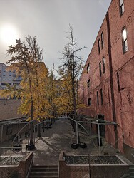 PXL_20231115_153307794