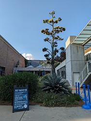 PXL_20230716_225454532