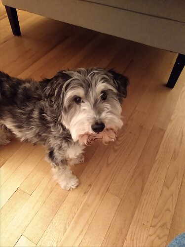 IMG_20200103_185648483