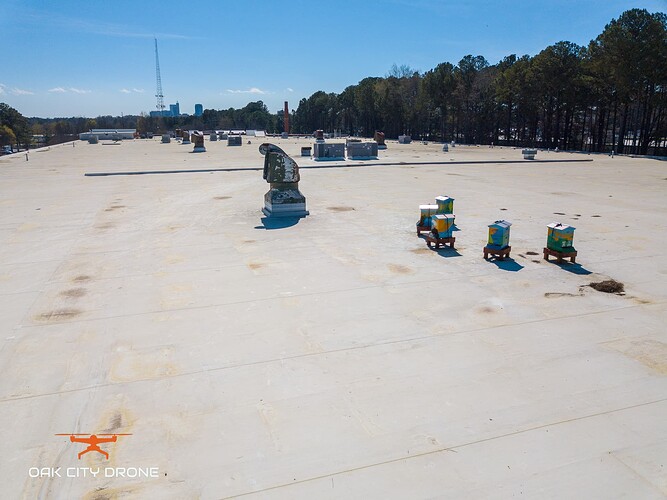 DJI_0834