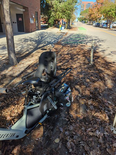 SCF__20241112_120404